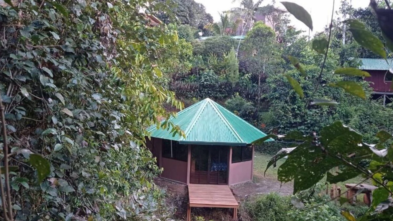 Photo of Outdoor in McClellan
