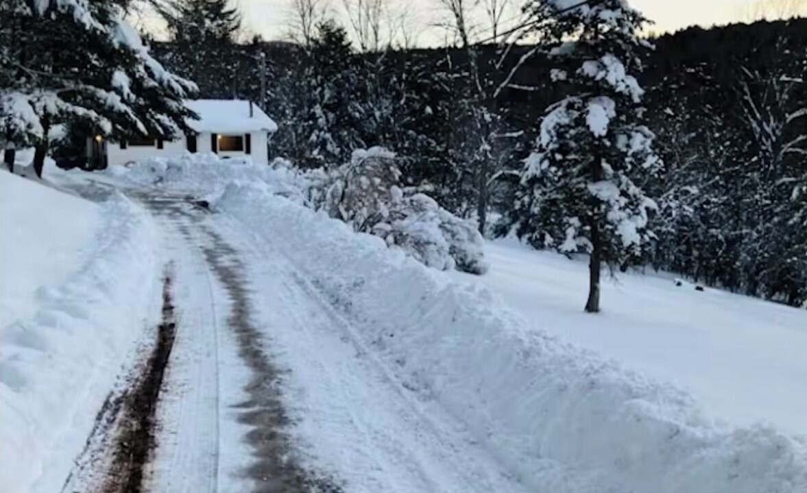 Photo of Outdoor in Prattsville