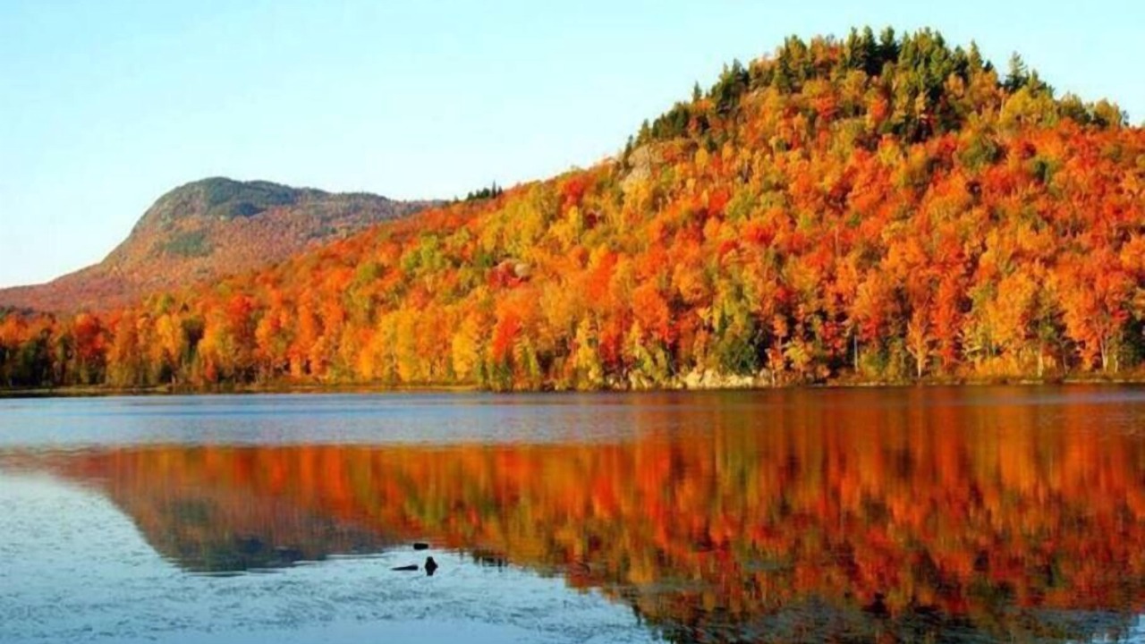Photo of Others in Magog