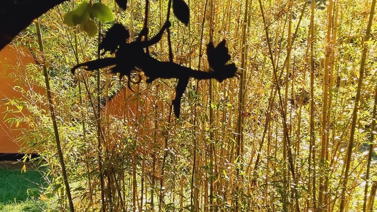 Photo of Outdoor in Labastide-de-Virac