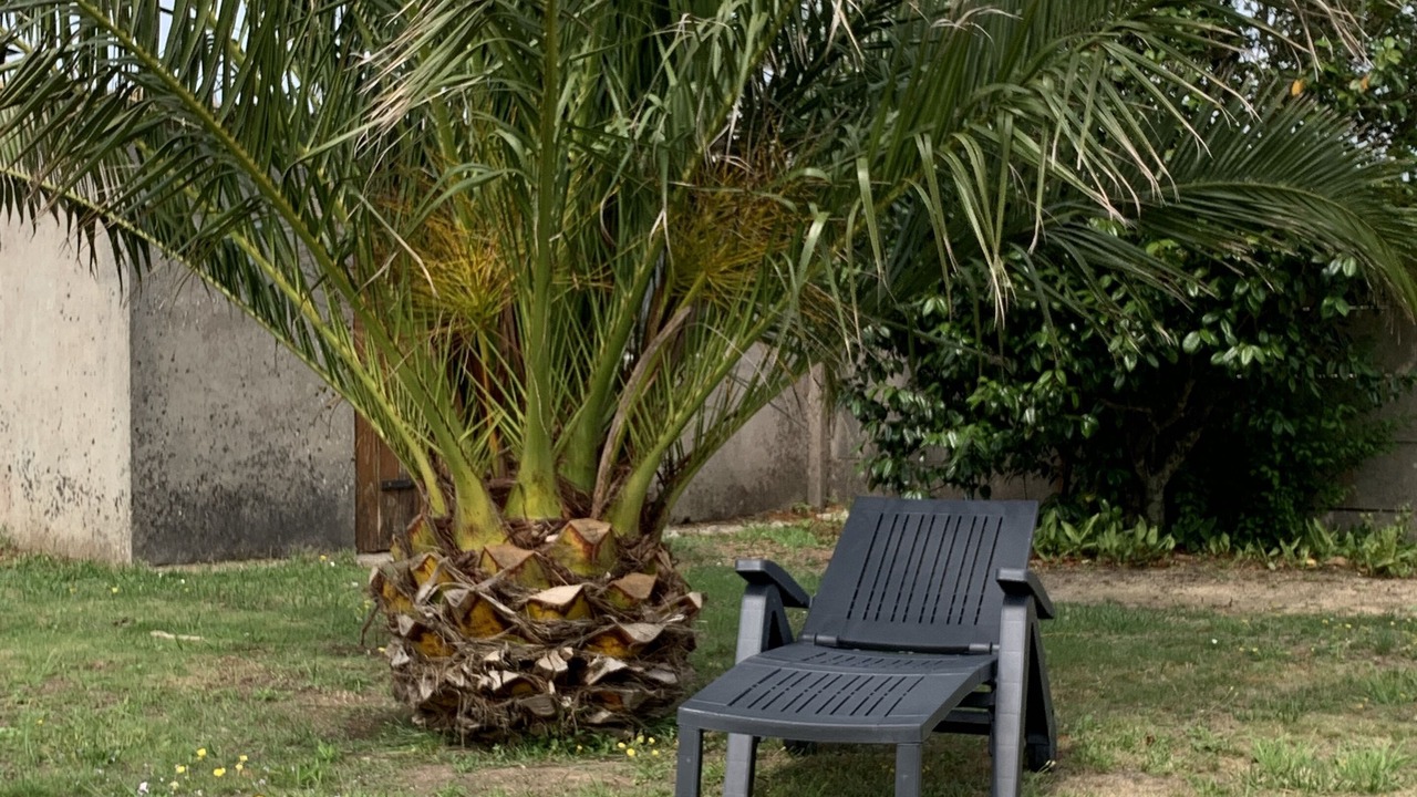 Photo of Outdoor in Le Conquet