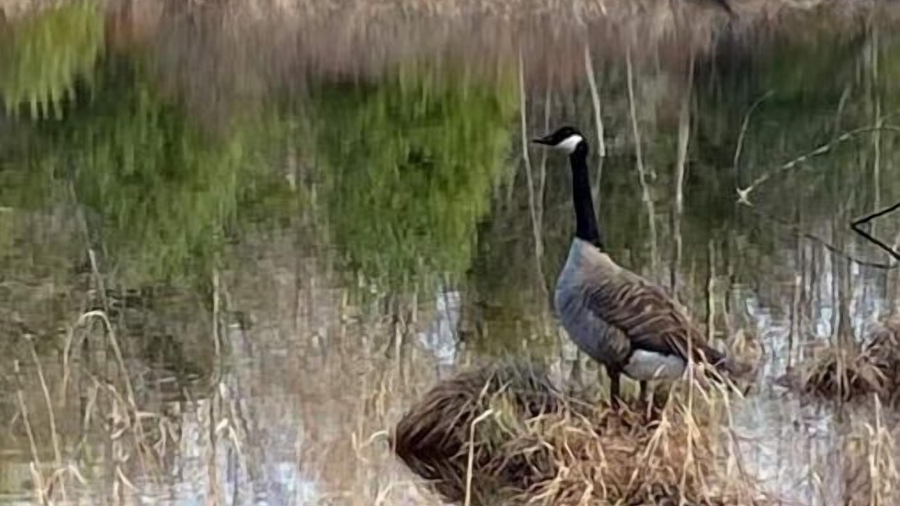 Photo of Outdoor in Woodridge