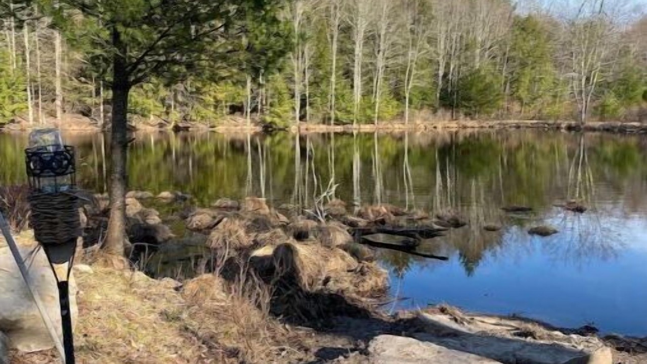 Photo of Outdoor in Woodridge