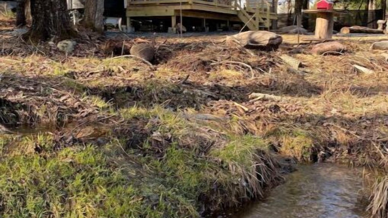 Photo of Outdoor in Woodridge