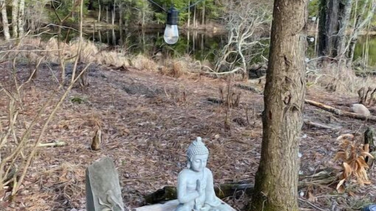 Photo of Outdoor in Woodridge