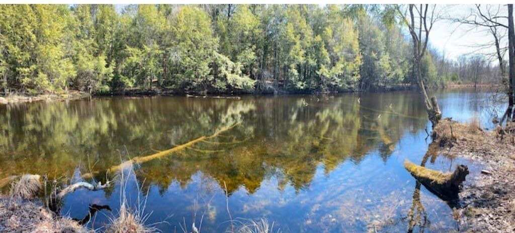 Photo of Outdoor in Woodridge