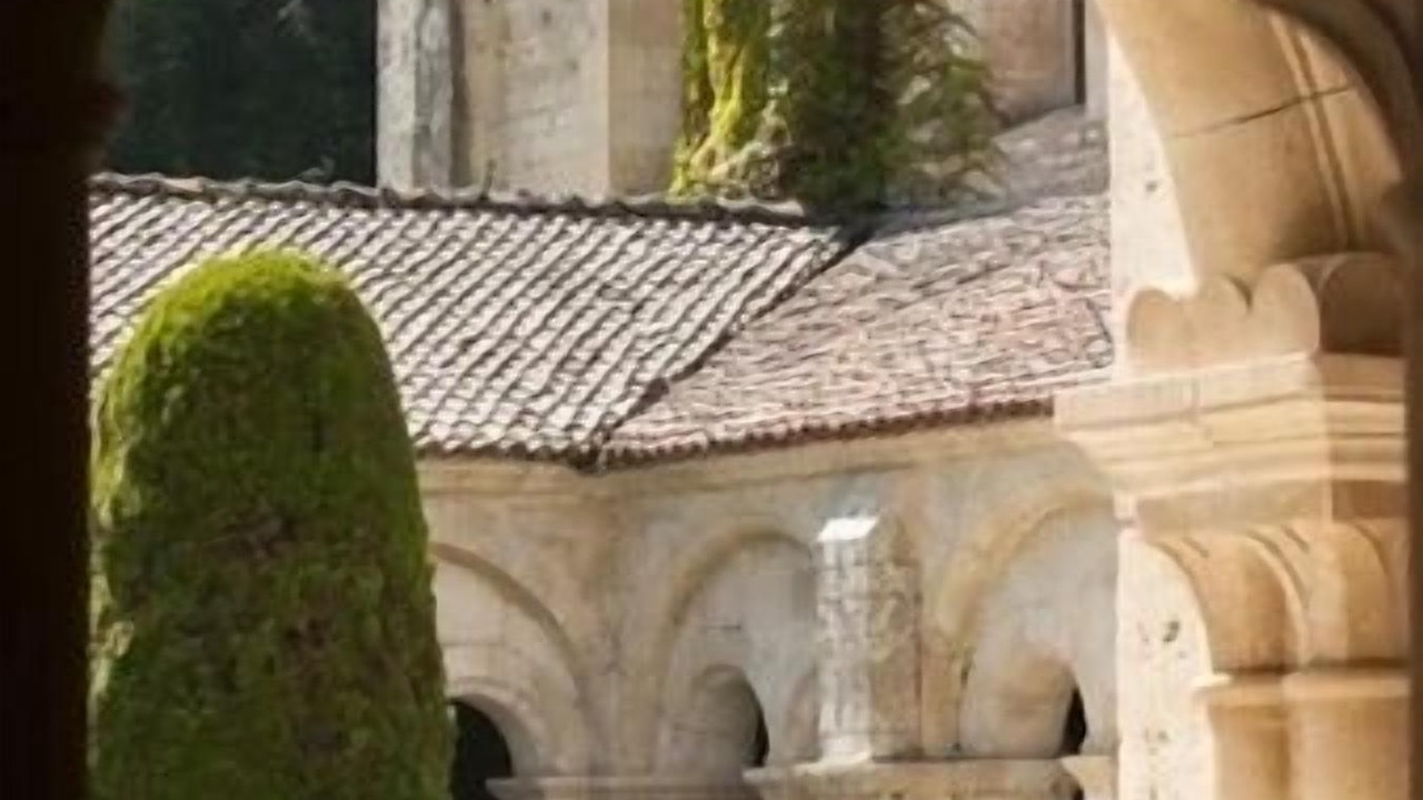 Photo of Others in Buffon