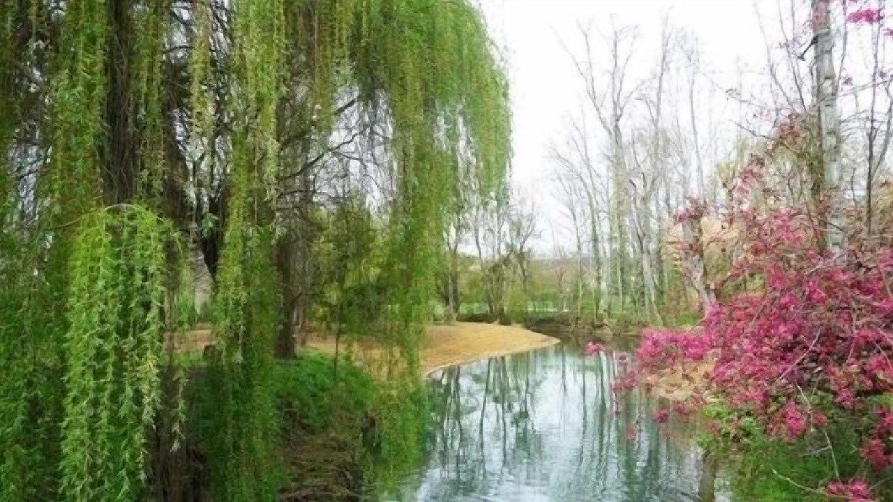 Photo of Outdoor in Buffon