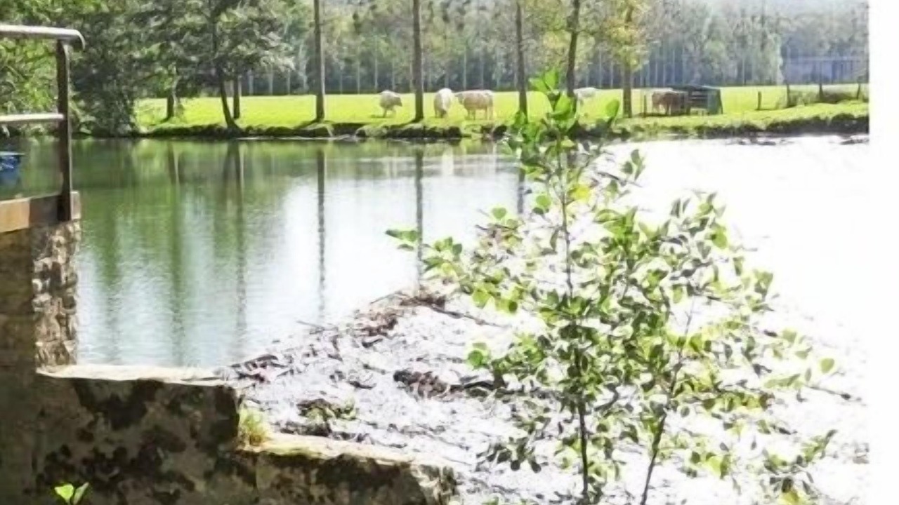 Photo of Outdoor in Buffon