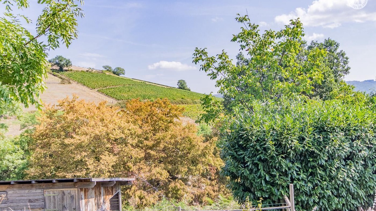 Photo of Outdoor in Serrieres