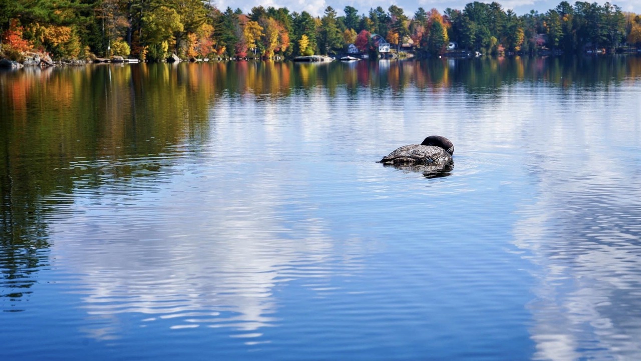 Photo of Outdoor in Franklin
