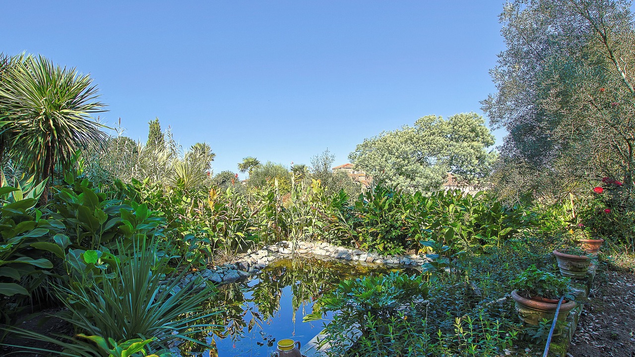 Photo of Outdoor in Landevieille