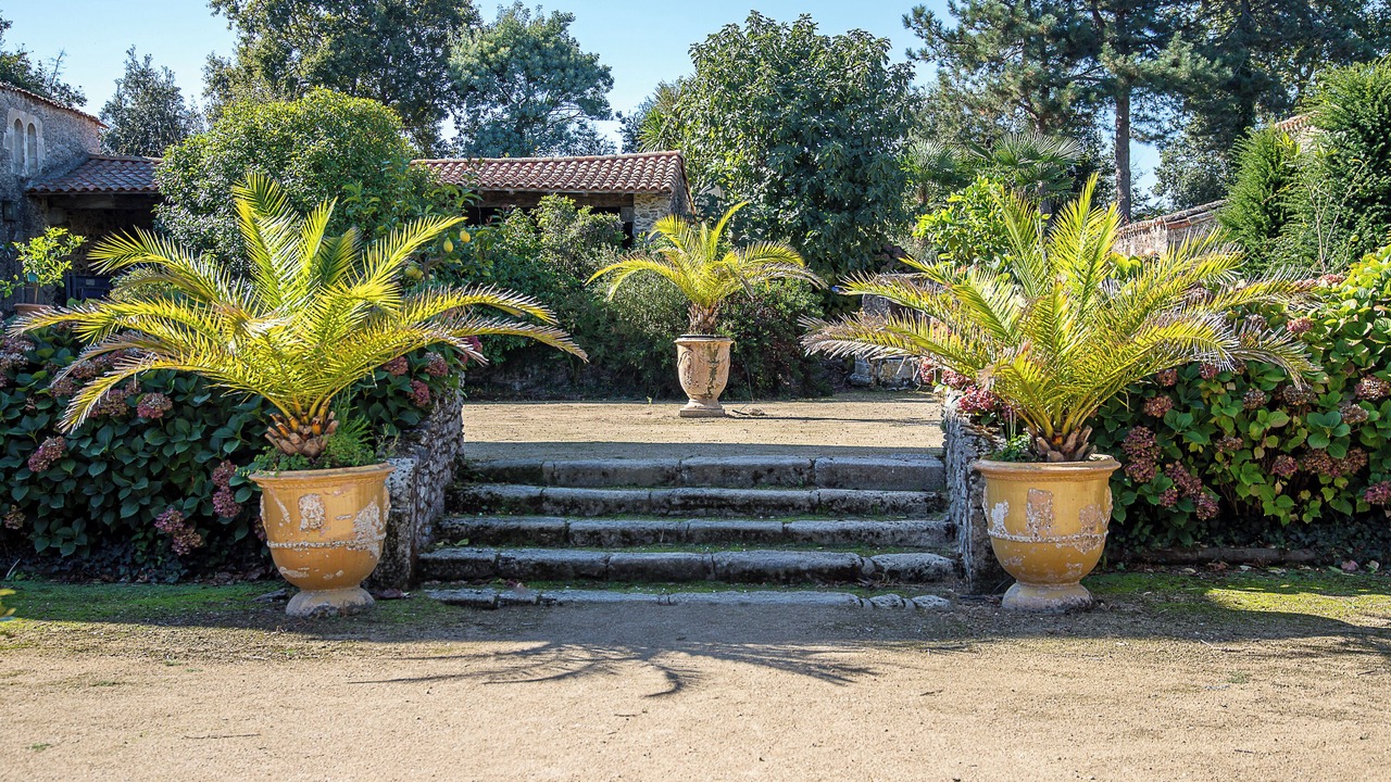 Photo of Outdoor in Landevieille