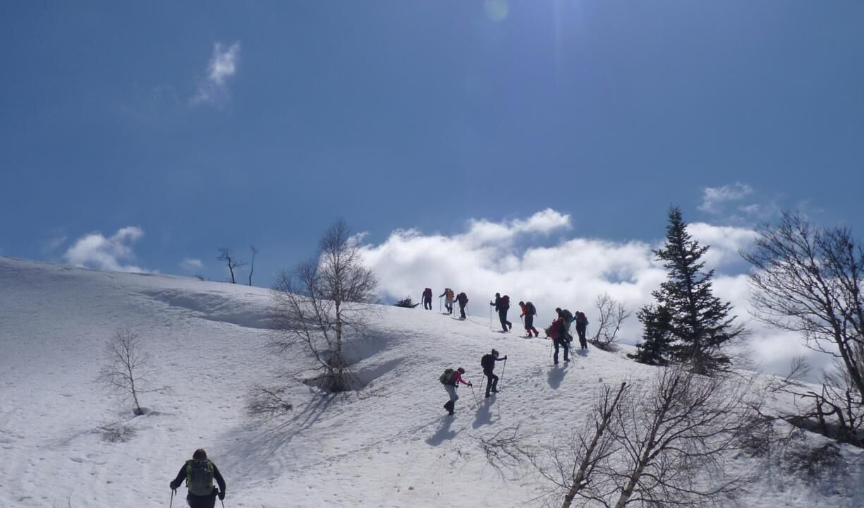 Photo of Others in Bielle