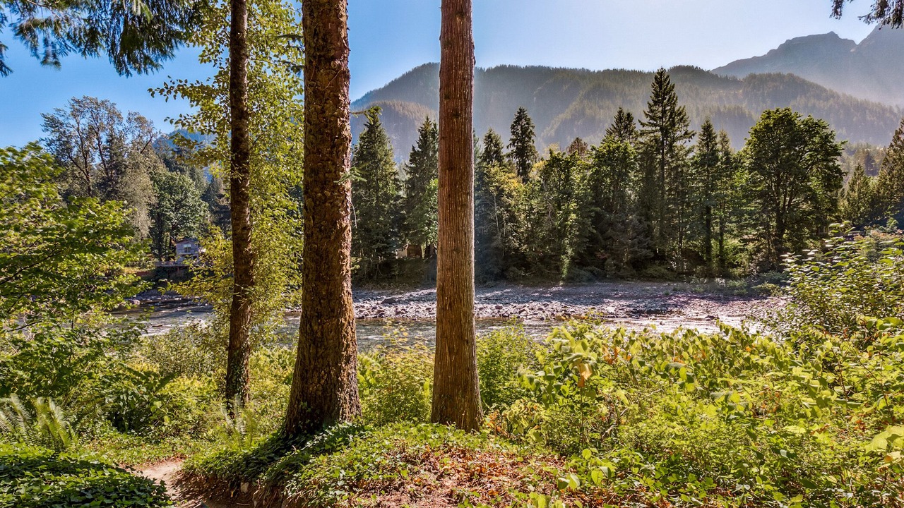 Photo of Others in Gold Bar