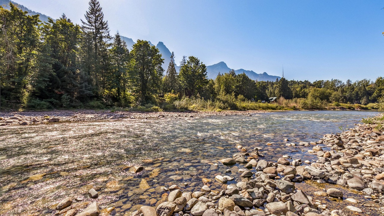 Photo of Others in Gold Bar