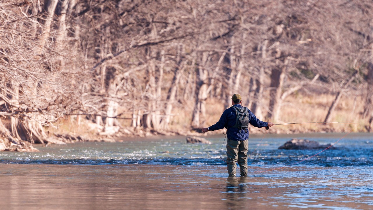 Photo of Others in New Braunfels