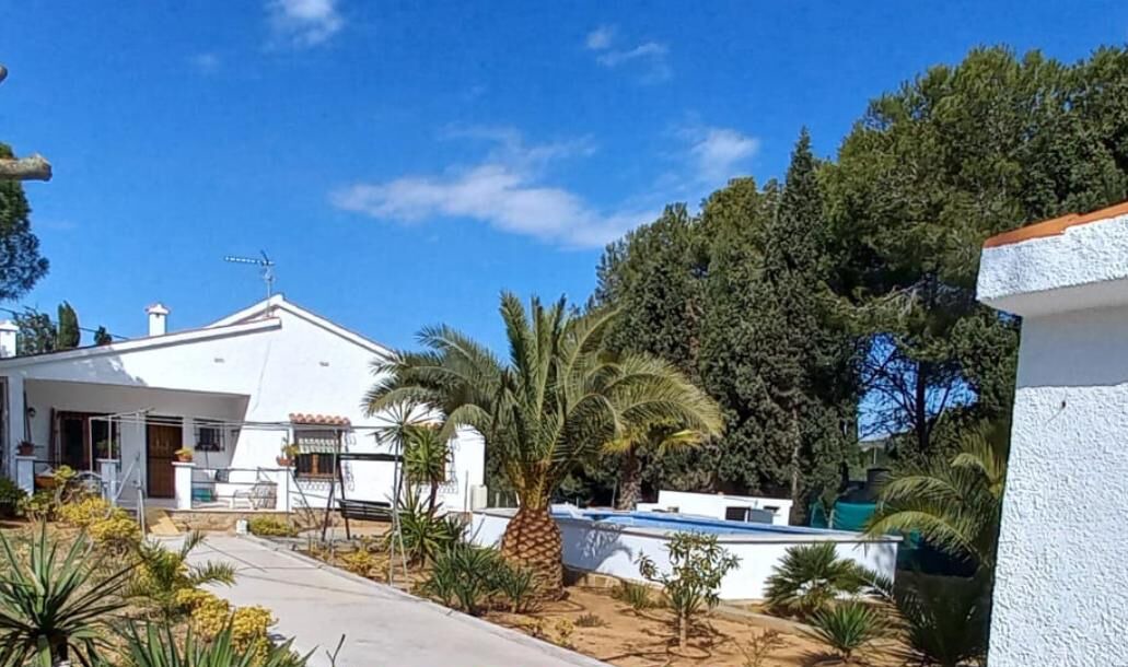 Photo of Outdoor in Alcossebre