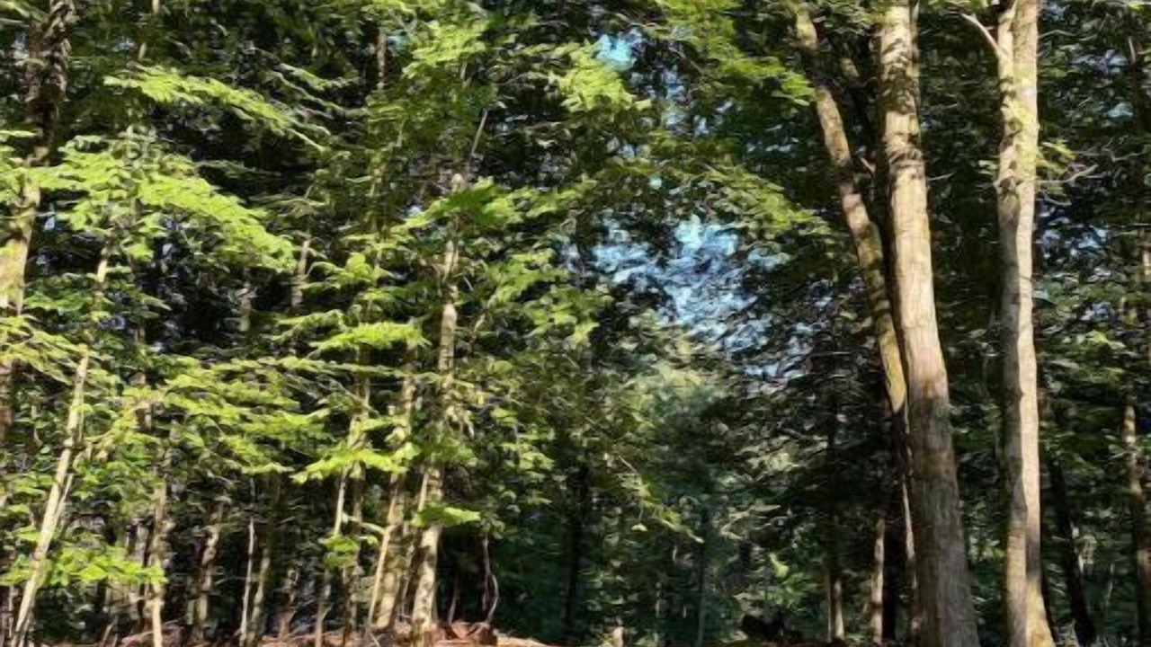 Photo of Outdoor in Mount Hope