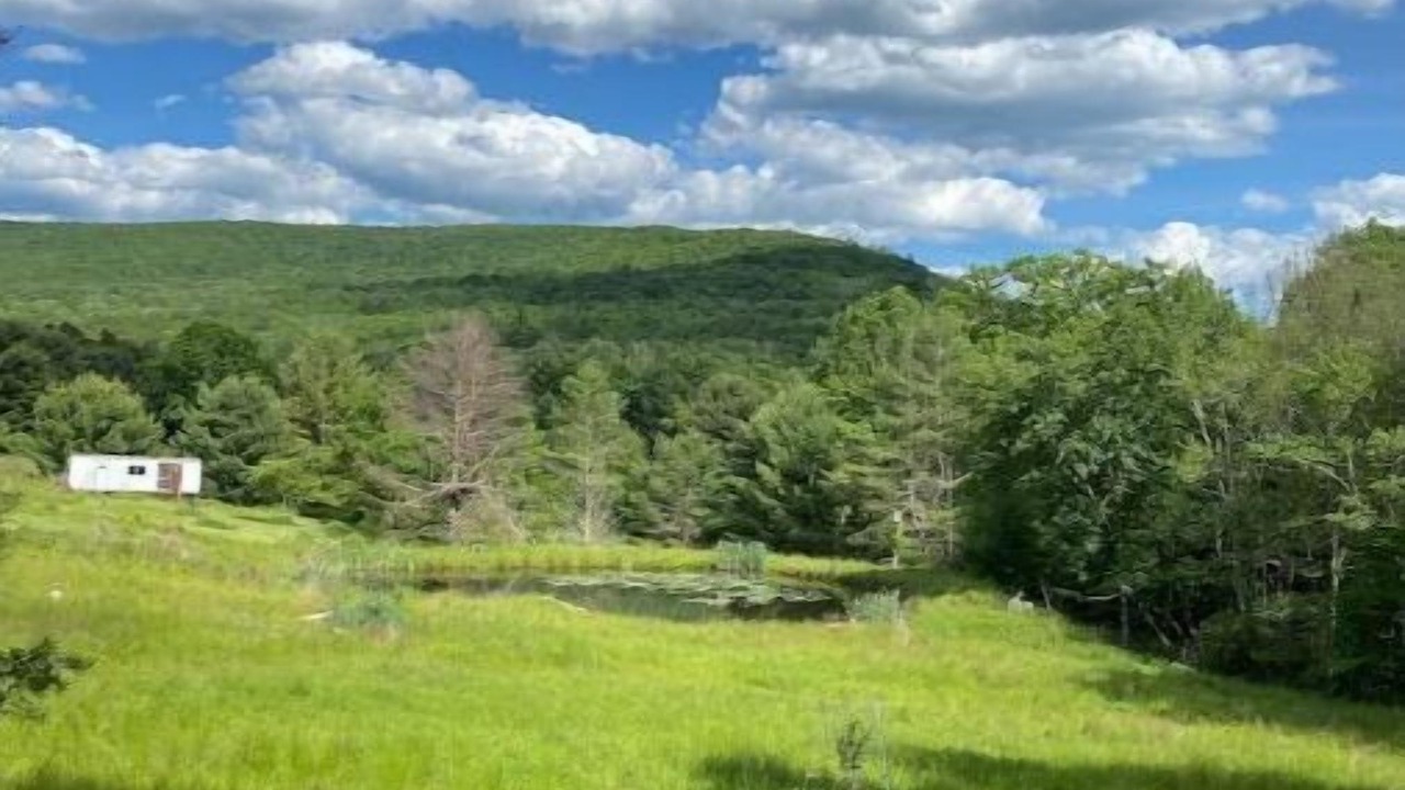 Photo of Outdoor in Oliverea