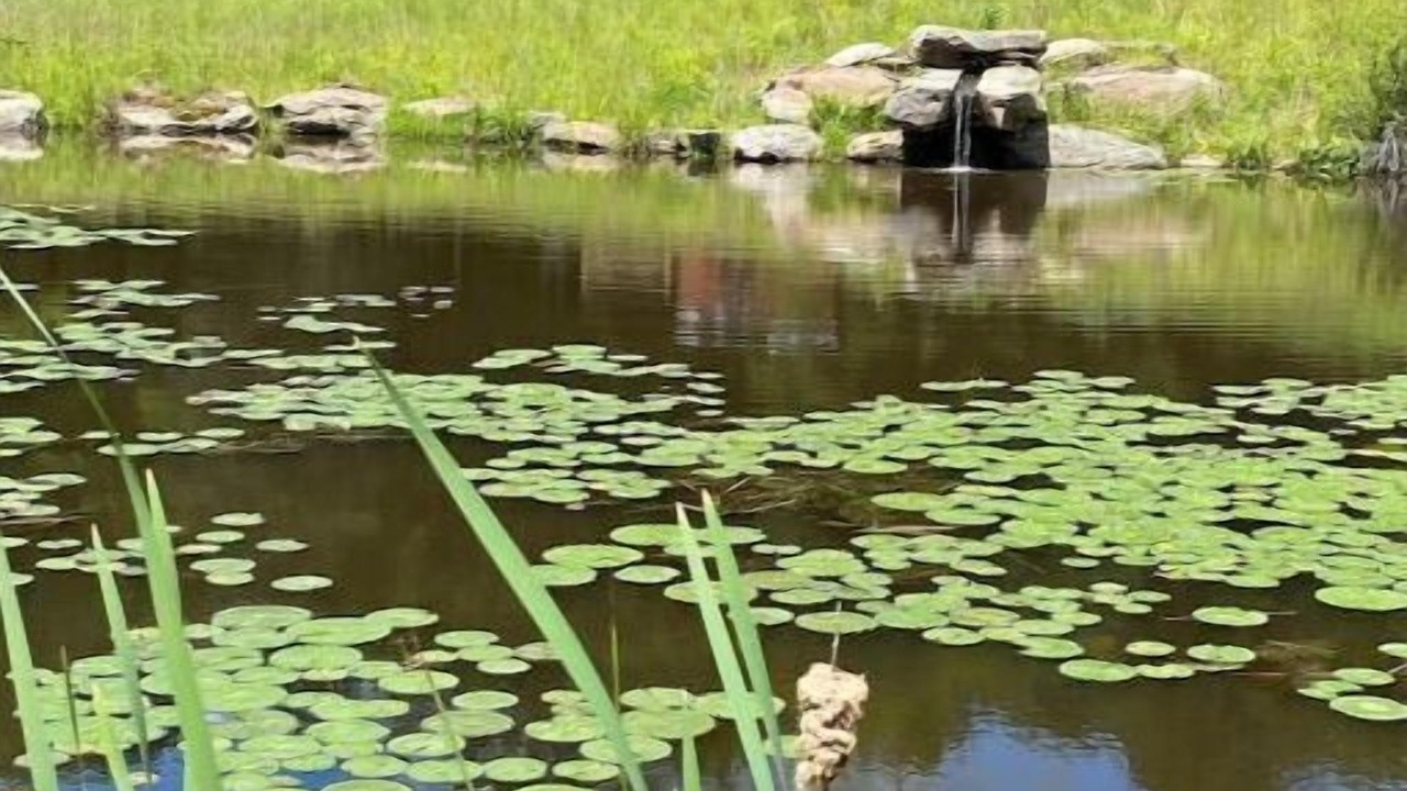 Photo of Outdoor in Oliverea