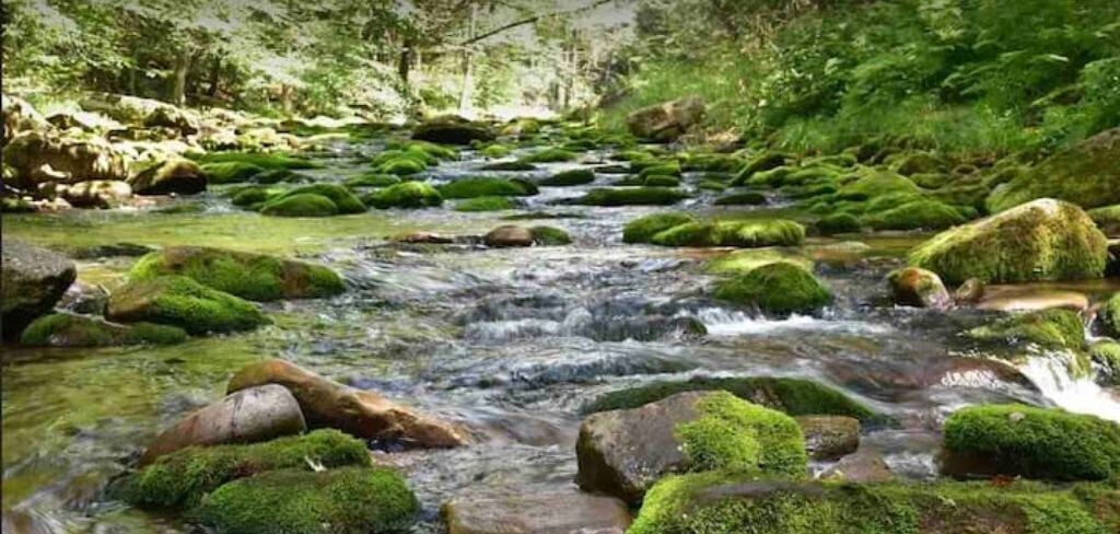 Photo of Outdoor in Oliverea