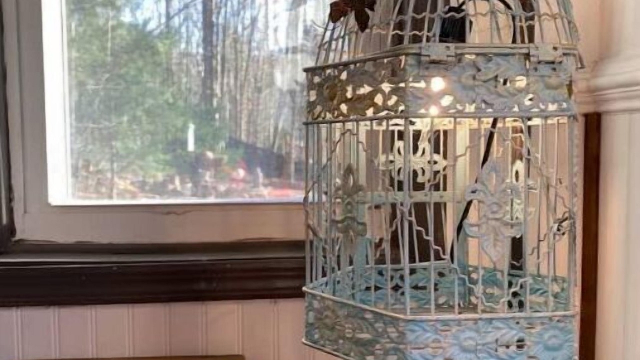 Photo of Others in Oliverea