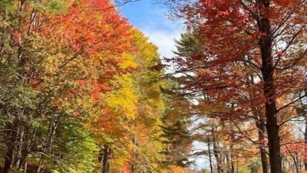 Photo of Others in Oliverea