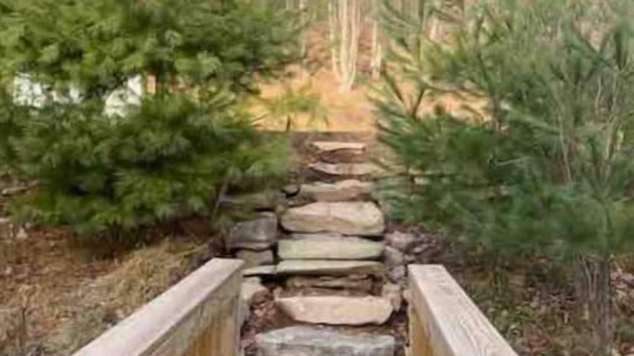 Photo of Outdoor in Oliverea