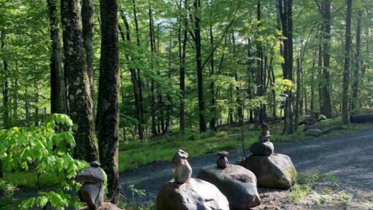 Photo of Outdoor in Oliverea