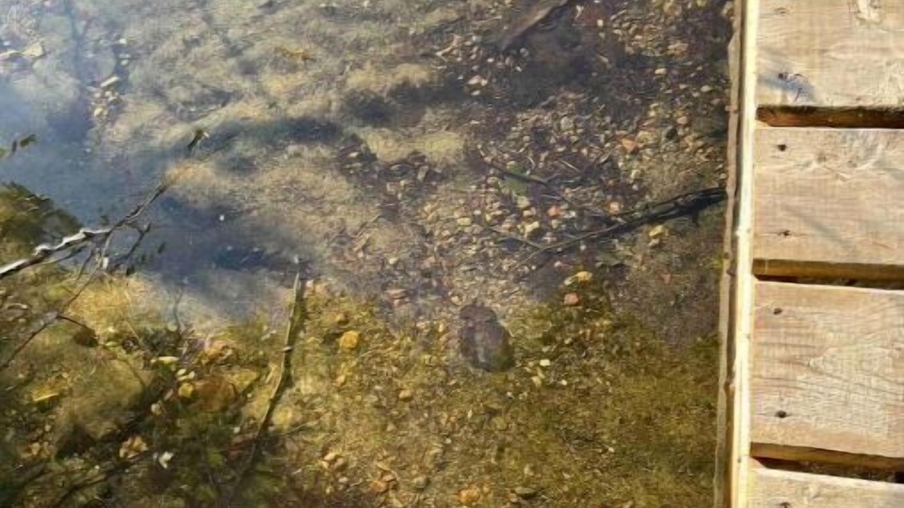 Photo of Outdoor in Dysart et al