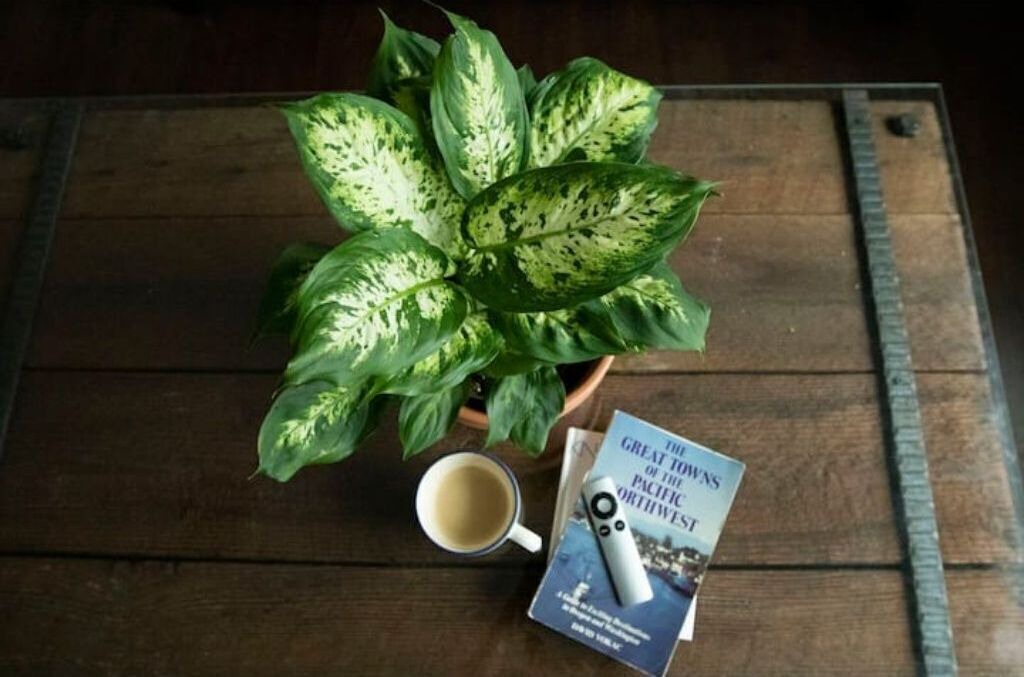 Photo of Others in Astoria