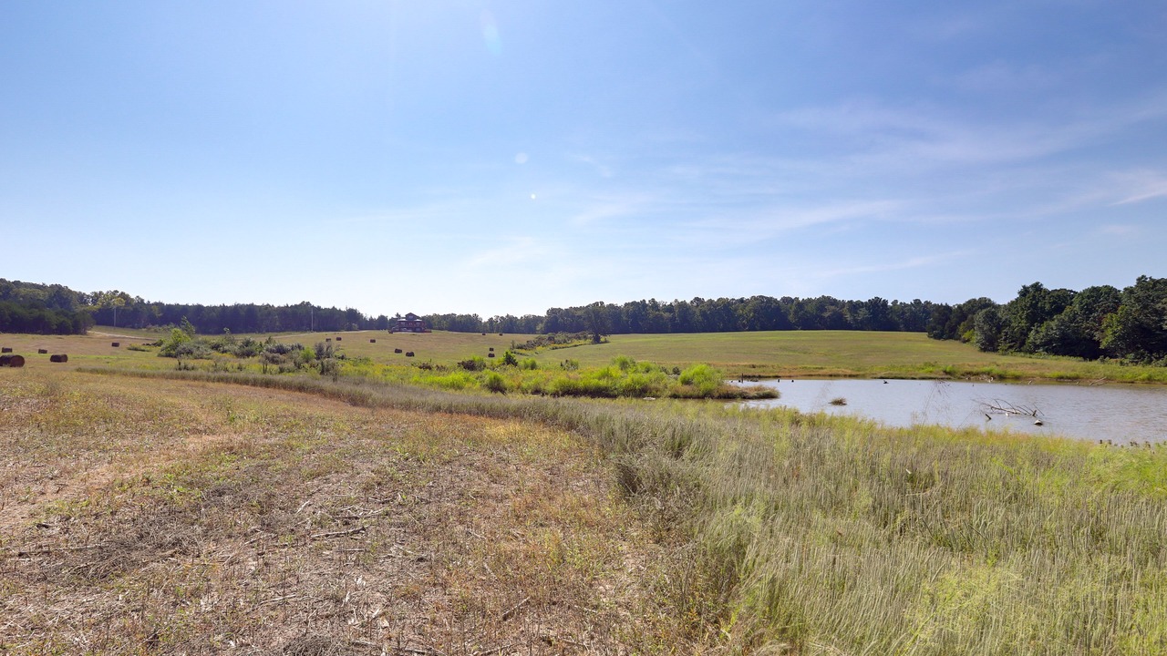 Photo of Others in Grubville