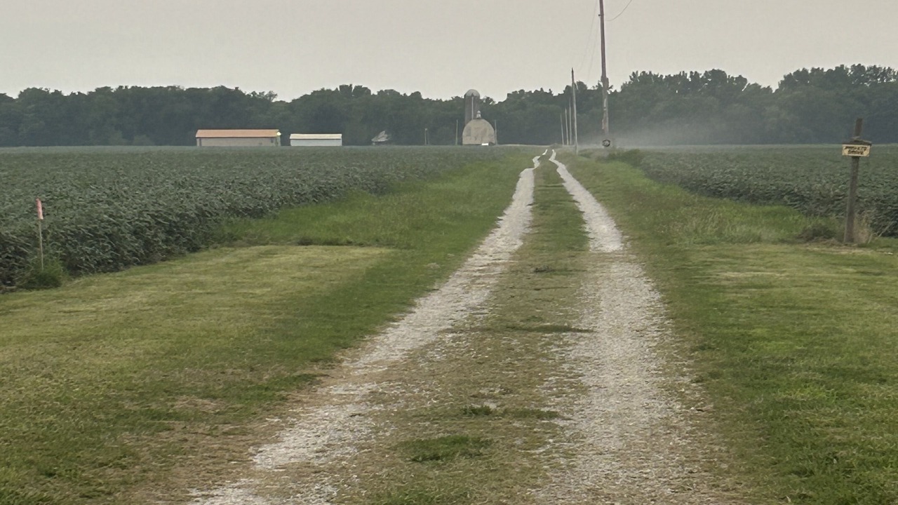 Photo of Outdoor in Chestnut