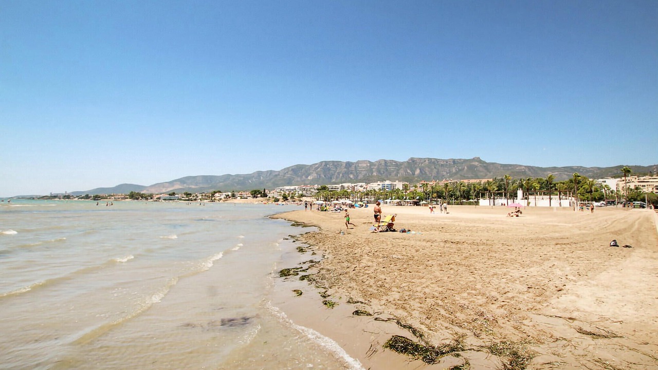 Photo of Others in Alcanar