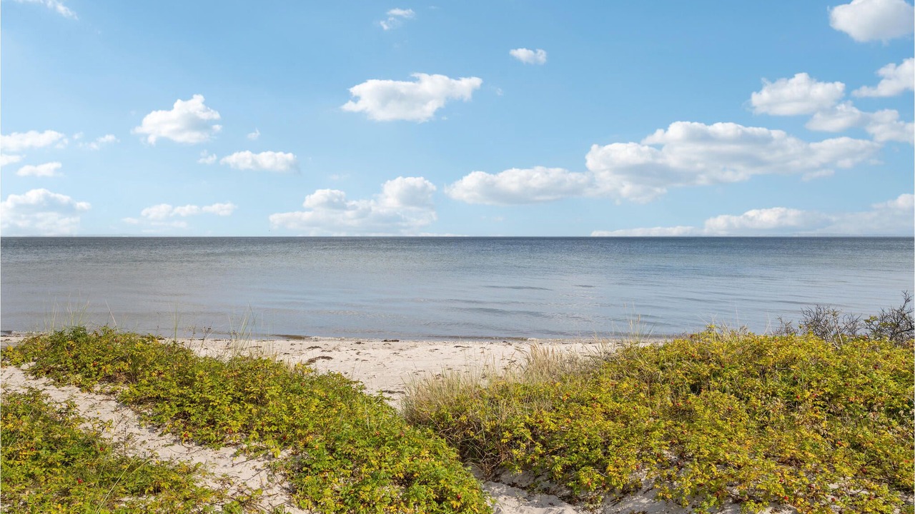 Photo of Others in Saksild Strand