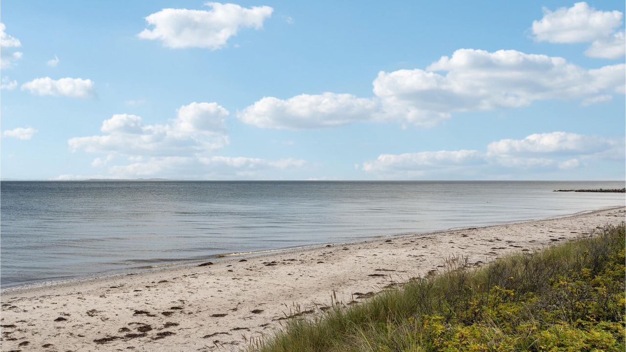 Photo of Others in Saksild Strand