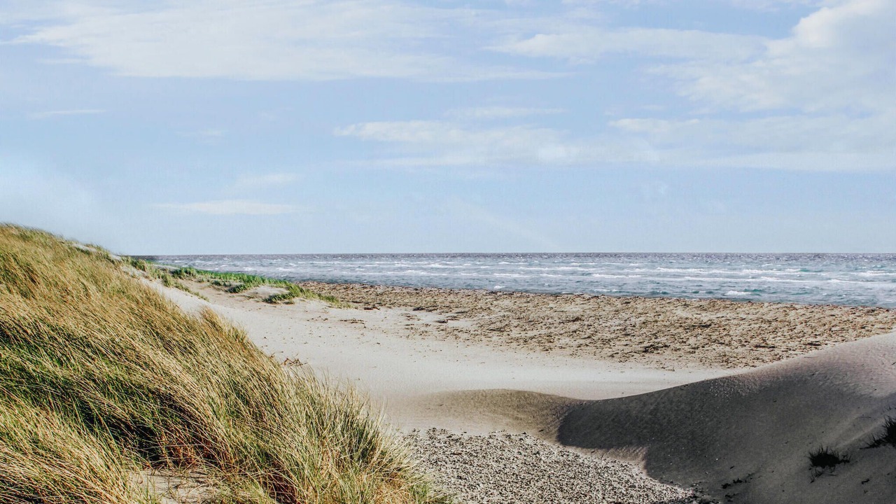 Photo of Others in Øer Strand