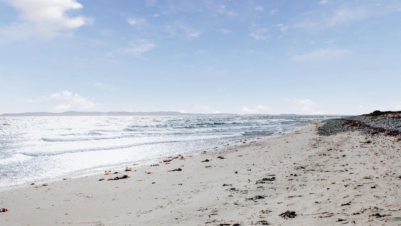 Photo of Others in Øer Strand