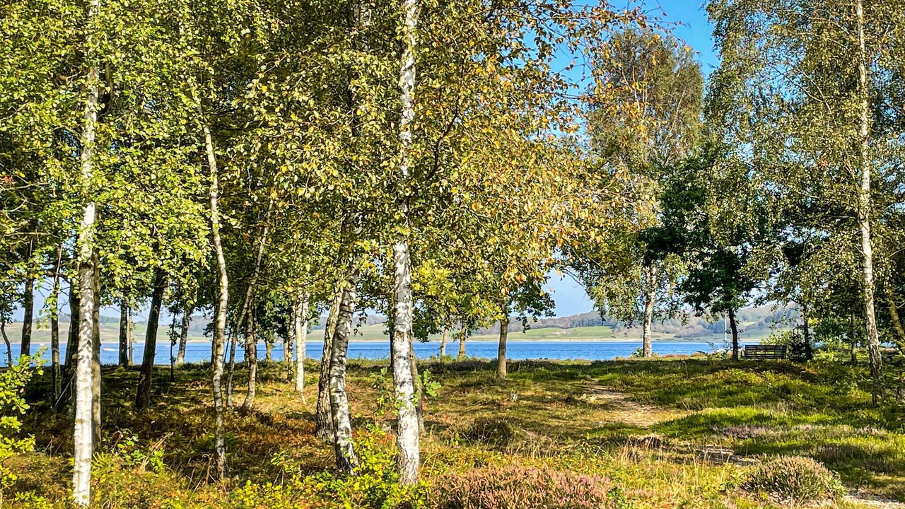 Photo of Others in Sundstrup