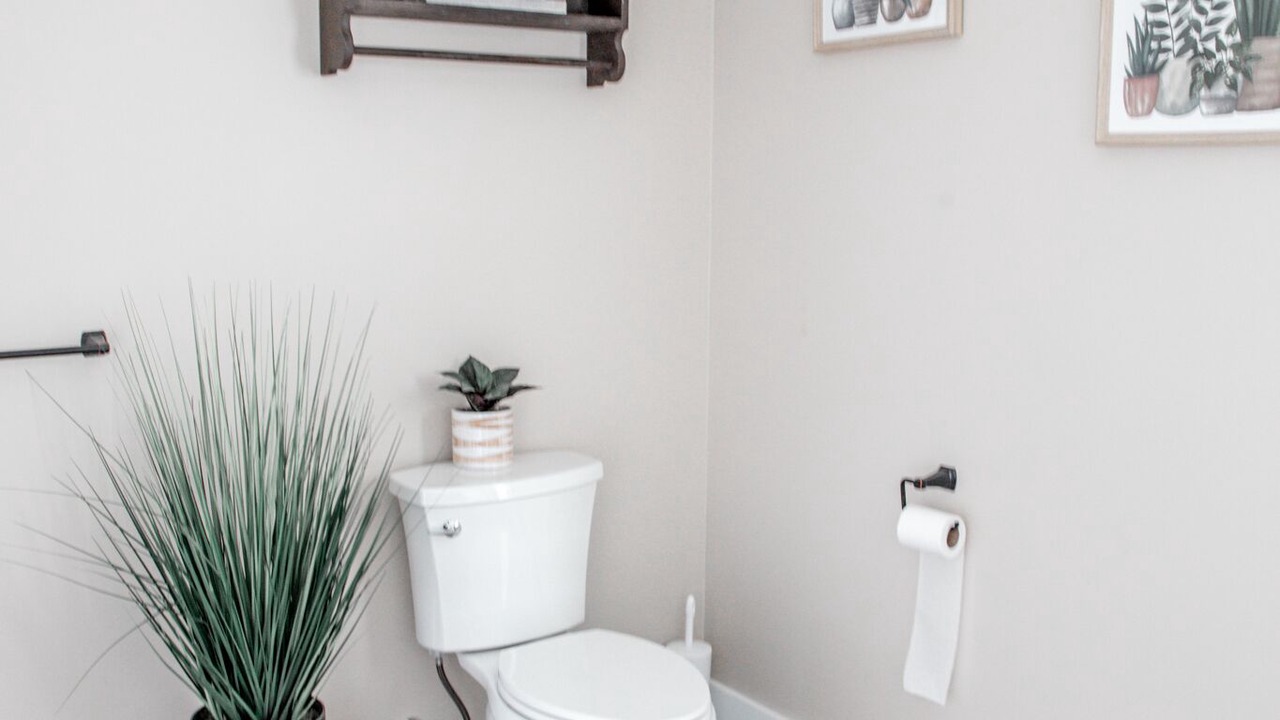 Photo of Bathroom in Middle Falls