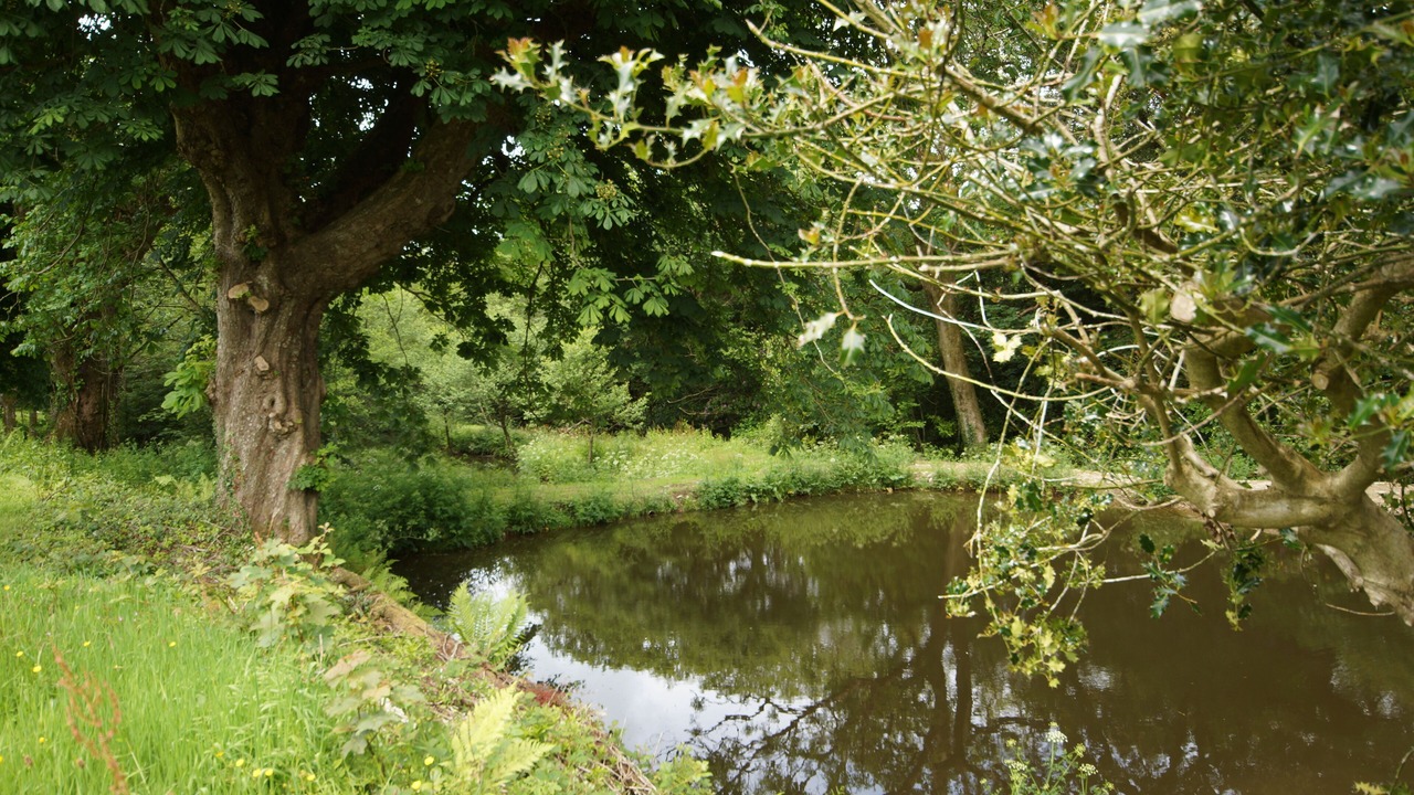 Photo of Outdoor in Hartland