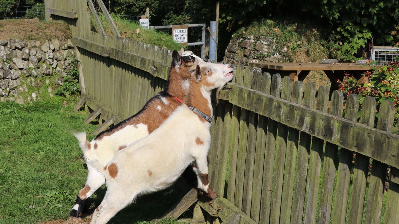 Photo of Outdoor in Hartland