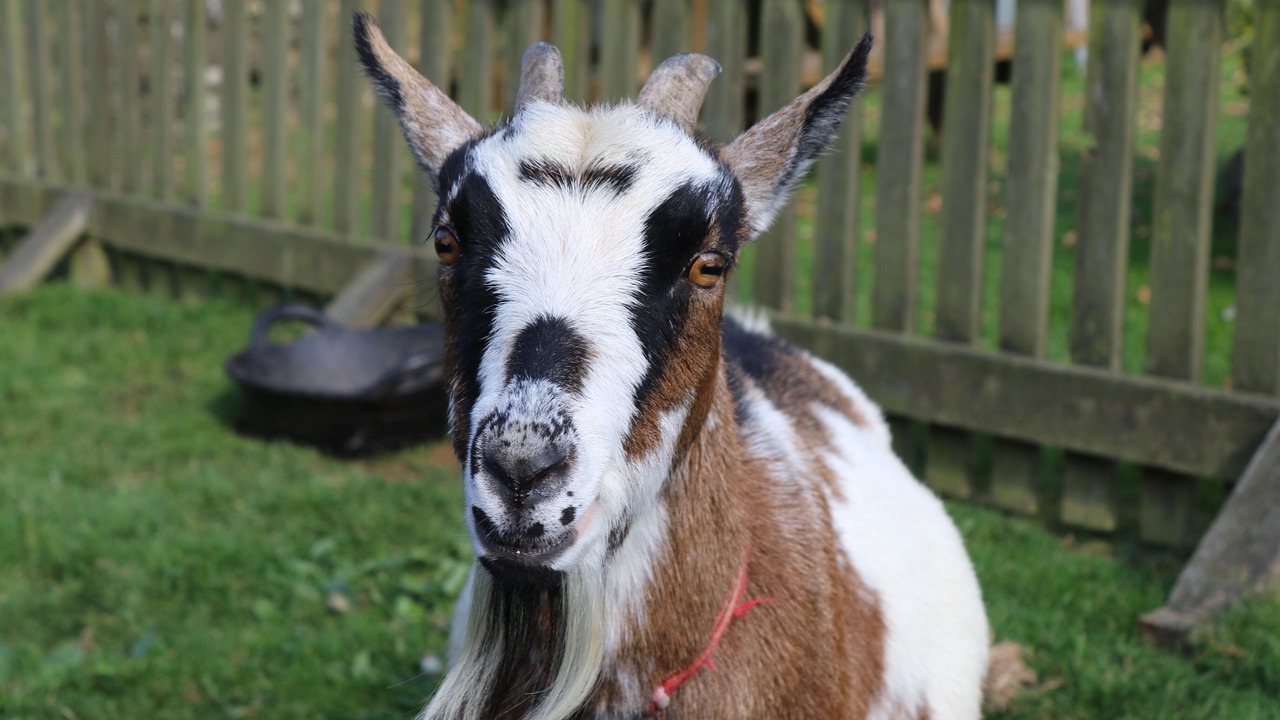 Photo of Outdoor in Hartland