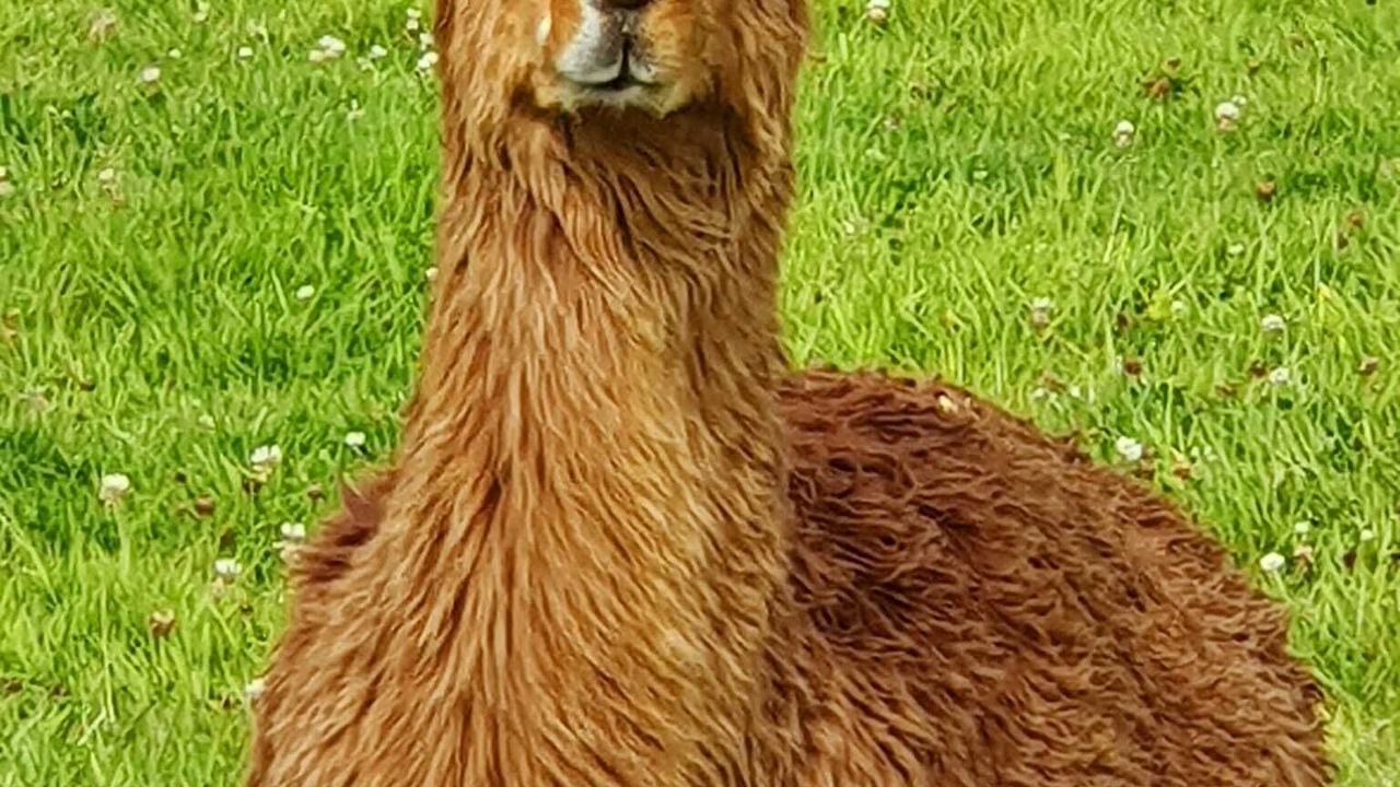 Photo of Outdoor in Hartland