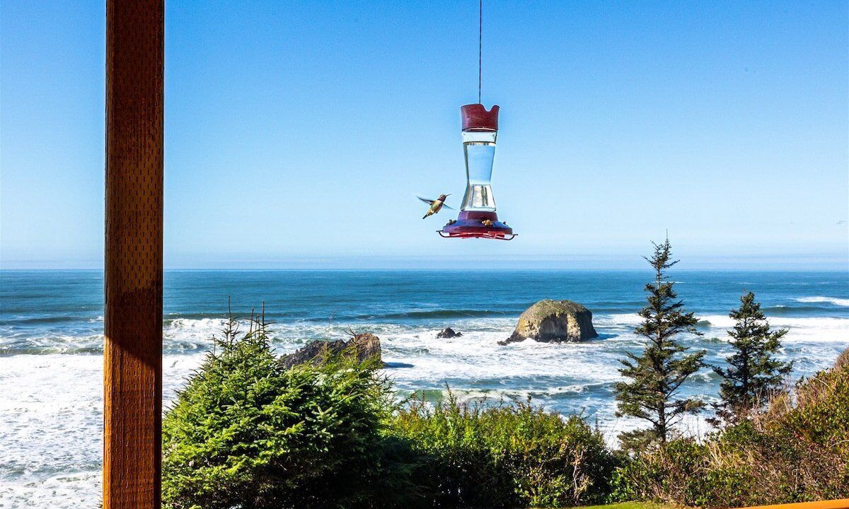 Photo of Others in Arch Cape