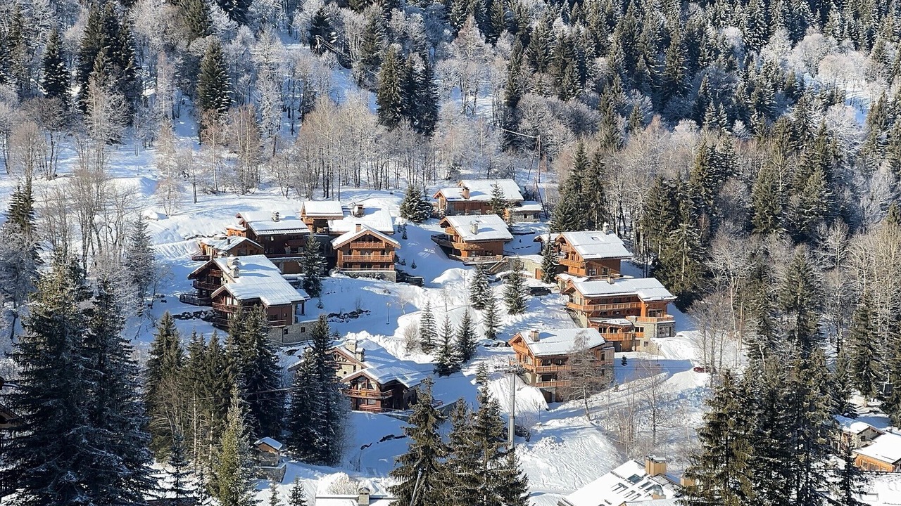 Photo of Others in Meribel Centre