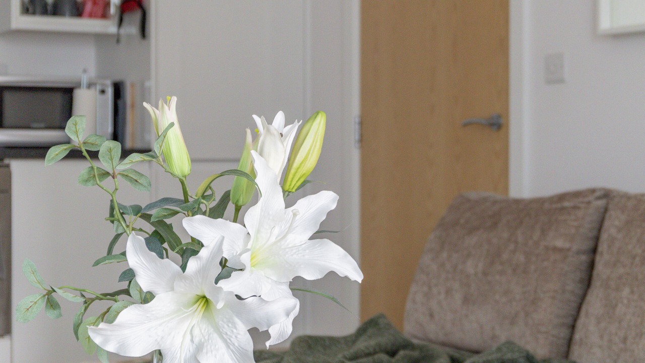 Photo of Livingroom in Redhill