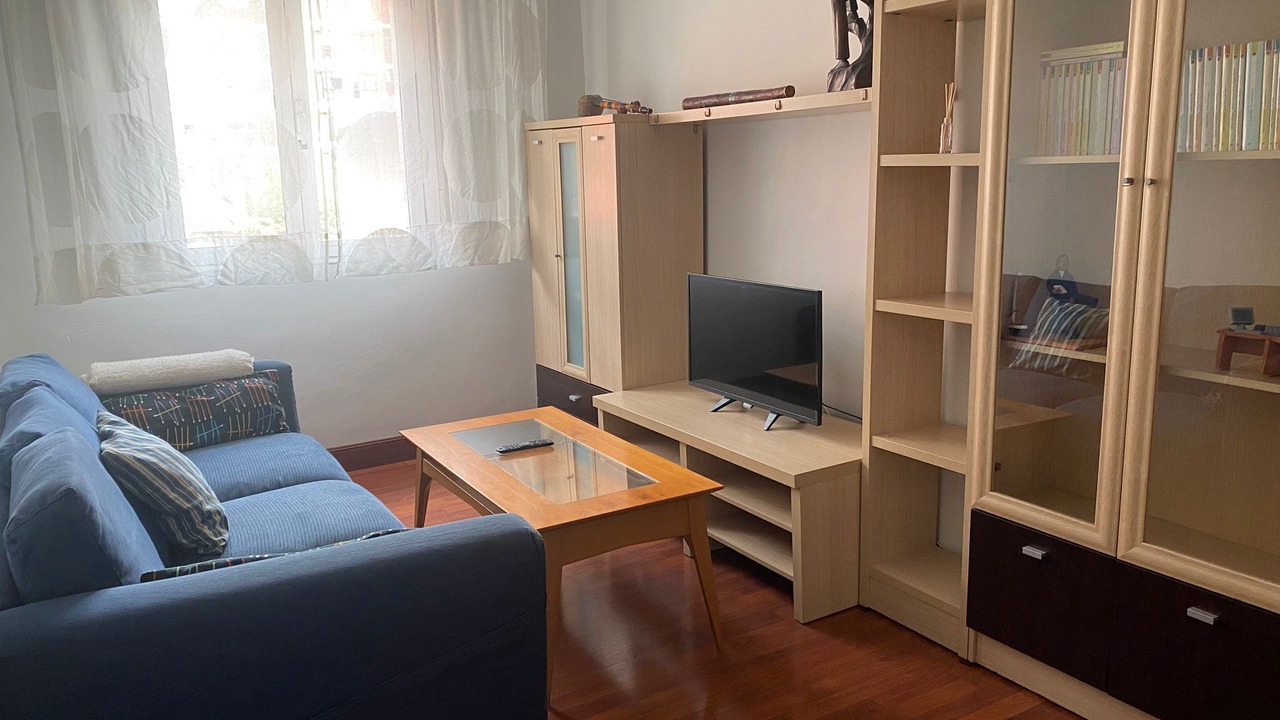 Photo of Livingroom in Erandio