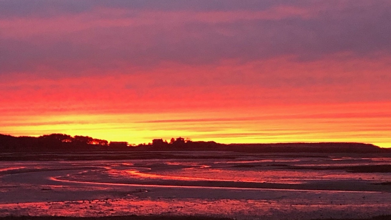 Photo of Outdoor in Wellfleet